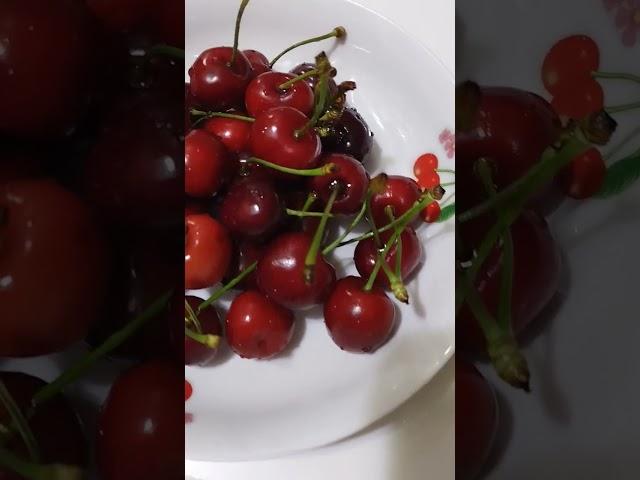 #redberry #berries  #viral #shorts #trending #ofwhongkong