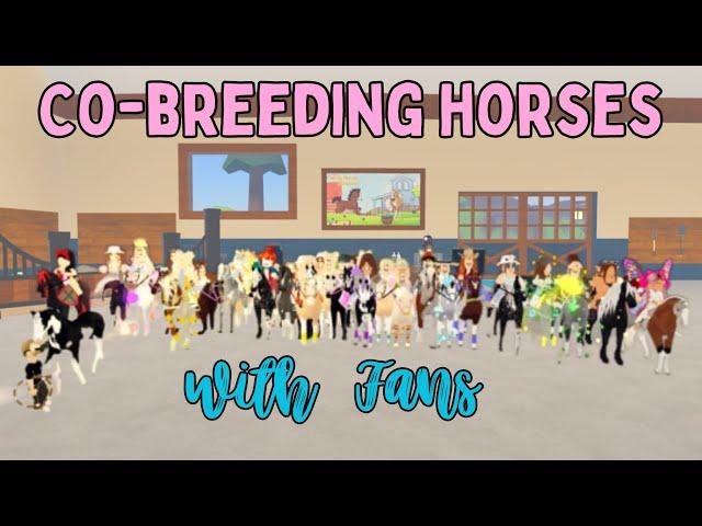 Co-Breeding Horses With Fans! | Wild Horse Islands