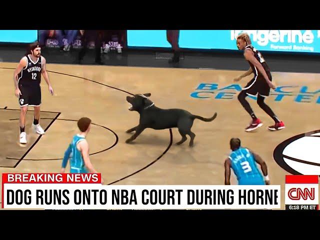 Ridiculous NBA Moments..