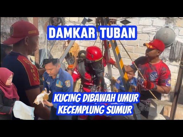 KEMBALI... KUCING KECEBUR SUMUR.. EVAKUASI Oleh DAMKAR TUBAN pada Satpol PP & Damkar Kab. Tuban