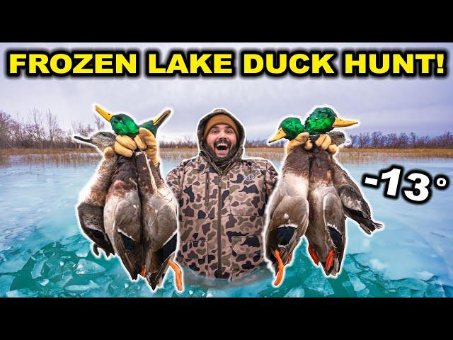 BELOW ZERO Duck Hunting my FROZEN Lake!!! - Limited Out (Catch Clean Cook)