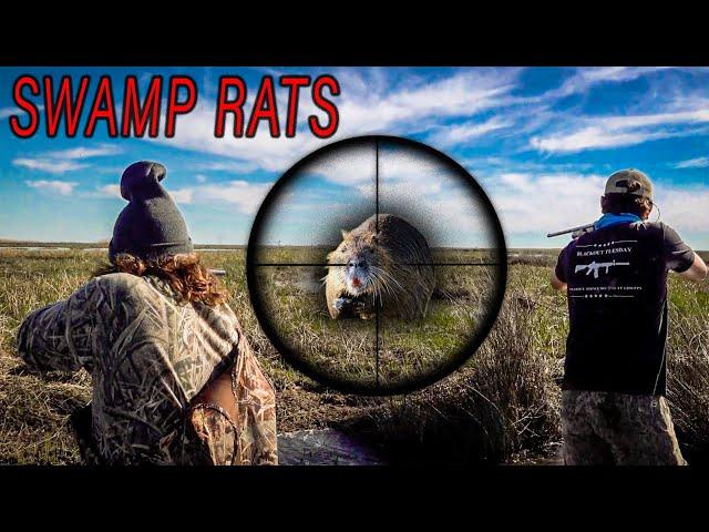 Hunting Giant Swamp Rats! | Invasive Nutria Population Control