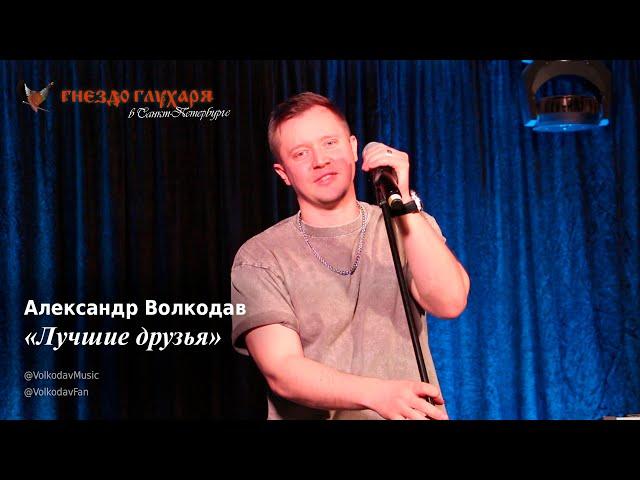 Александр Волкодав - Лучшие друзья (СПб, 10.02.2024) #гнездоглухаряспб #питер #голос #voice