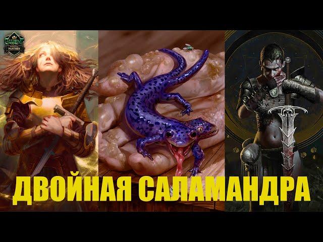 Гвинт! Двойная Саламандра. Неожиданно сильная колода. Гайд. Патч 11.1.