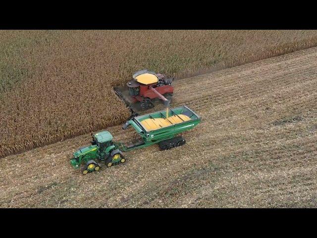 Corn Field Gets Leveled