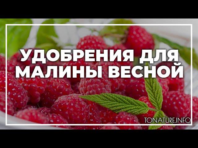 Удобрения для малины весной | toNature.Info