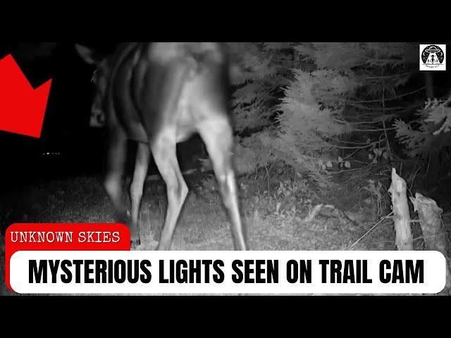 The Best Clearest UFO Footage This Week | UAP Sightings | Trail Cam Captures Unknown Lights