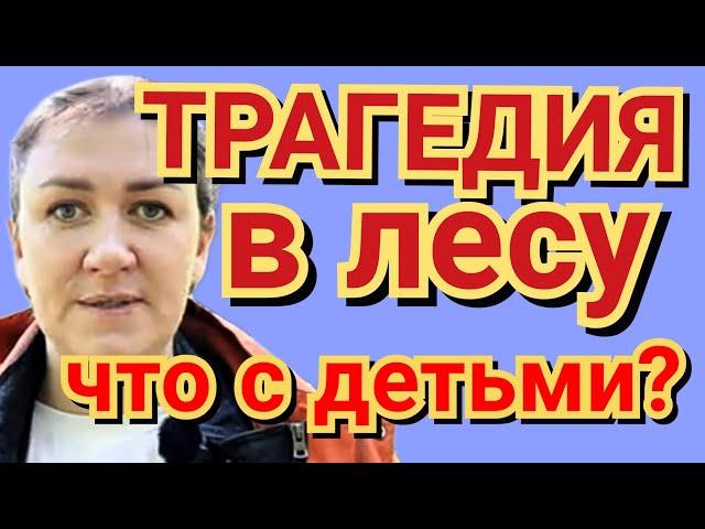 Деревенский дневник очень многодетной мамы - трагедия в лесу, что с детьми?