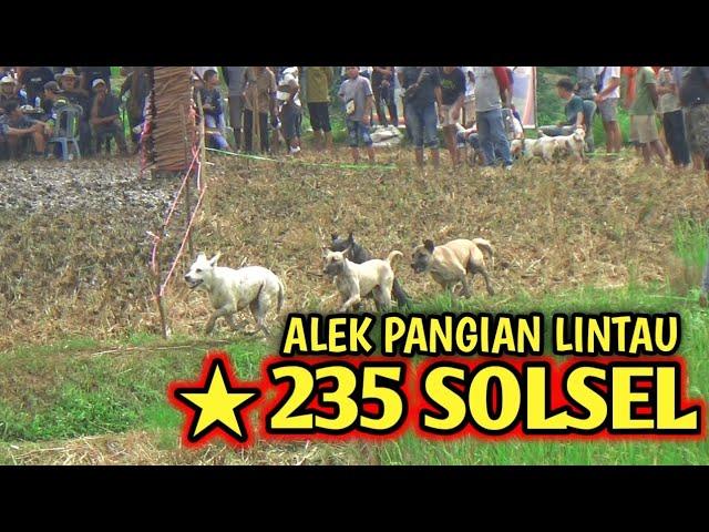 235 TEAM SOLSEL  ALEK PANGIAN LINTAU