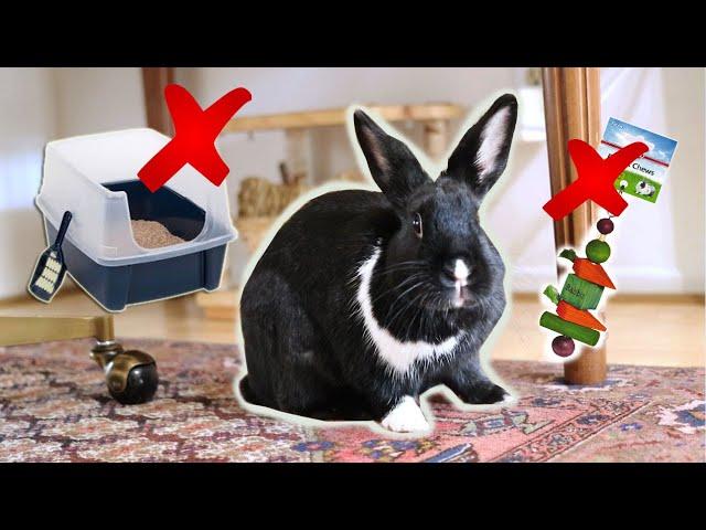 TOP 7 RABBIT PRODUCTS YOU SHOULD TRASH! | SPRING CLEANING