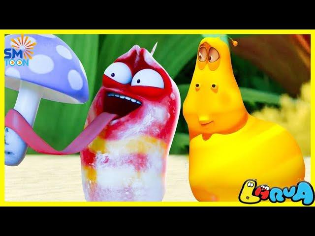 LARVA NEW SEASON 2025 : SNOW MUSHROOM  | MINI SERIES FROM ANIMATION LARVA |THE BEST OF FUNNY CARTOON