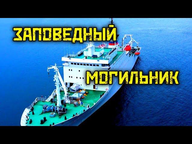 Одно из самых страшных мест на планете. Заповедный могильник. Карское море