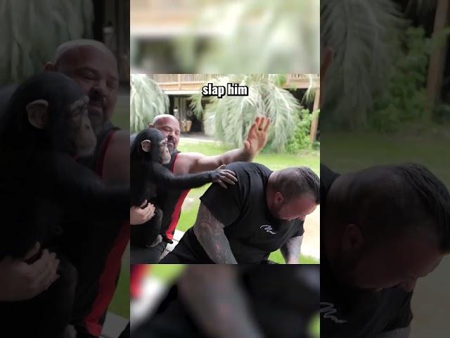 Eddie Hall and Brian Shaw Go To The Zoo