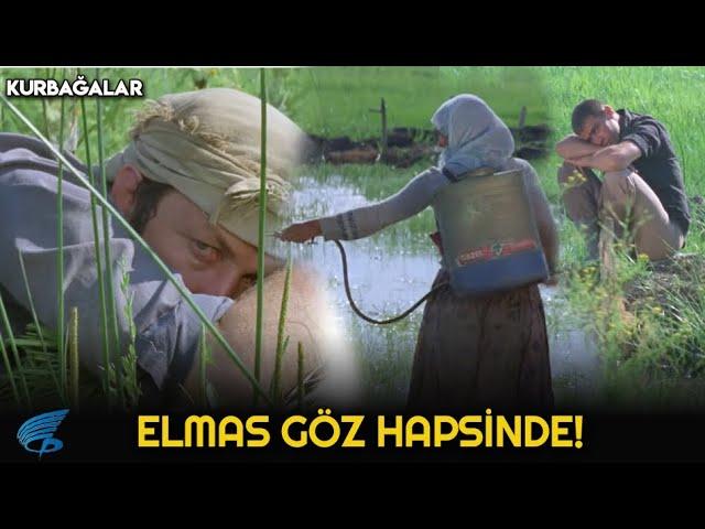 Kurbağalar Türk Filmi | Elmas Göz Hapsinde!