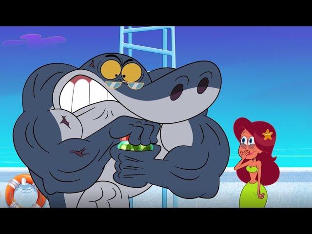  NEW SEASON 3 Zig & Sharko - The Pranksters (S03E20) _ Full Episode in HD