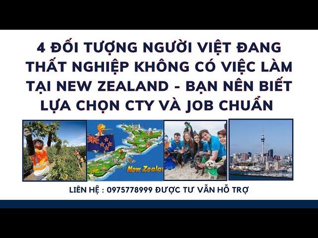 4 Đối Tượng Đang Thất Nghiệp Không Có Việc Làm Ở New Zealand - ACE Hãy Học Tiếng Học Nghề Khi Đi Nhé