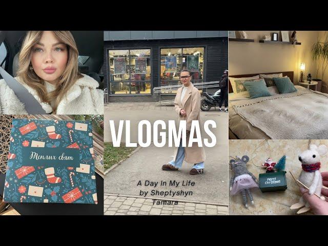 VLOGMAS 547 / грудень 2024