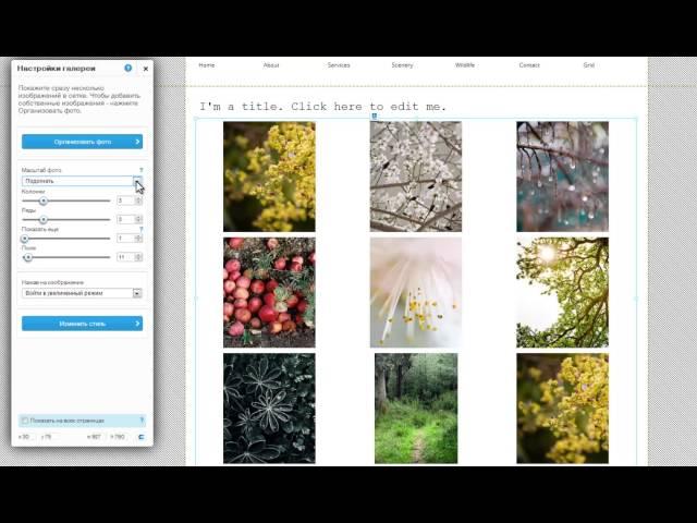 Конструктор сайтов Wix | Добавление галереи Grid на сайт Wix