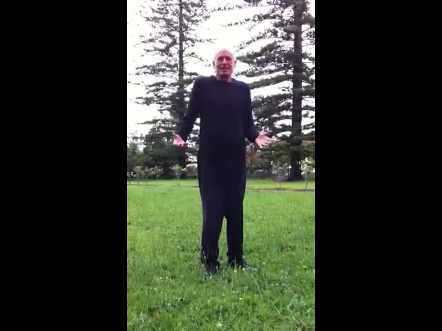 Terry Flynn Fairy Dance at the Ann Bryant