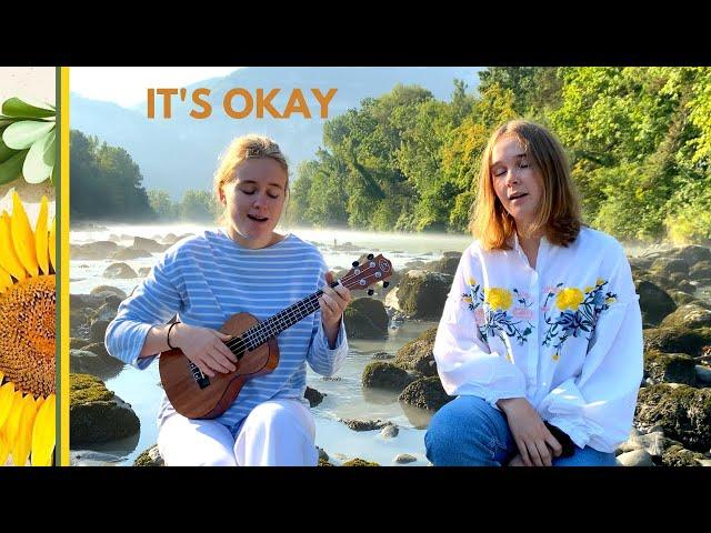 Tom Rosenthal - It's Okay (Cover)