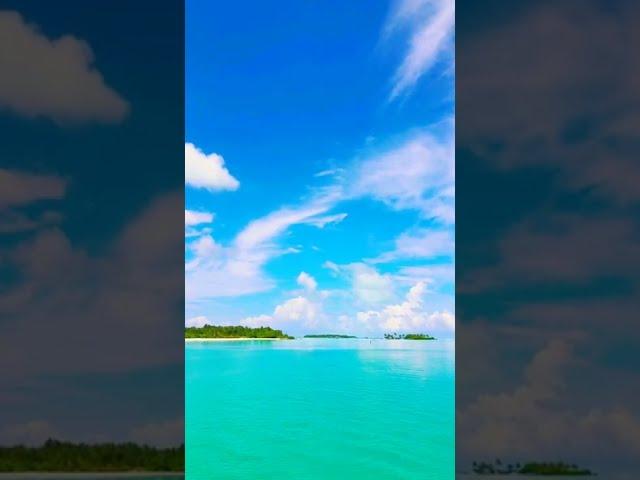 Beautiful Nature Love youtube mintu biswas dash youtube.com