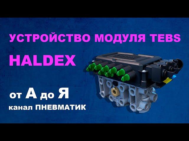 Устройство модуля EBS прицепа HALDEX. Трудности ремонта.