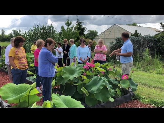 Larry Nau show lotus pond with local garden club