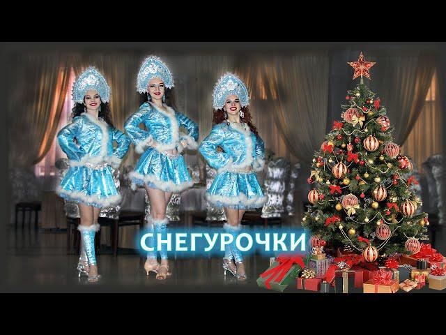 Снегурочки Деда Мороза - шоу-балет @art_show_dance