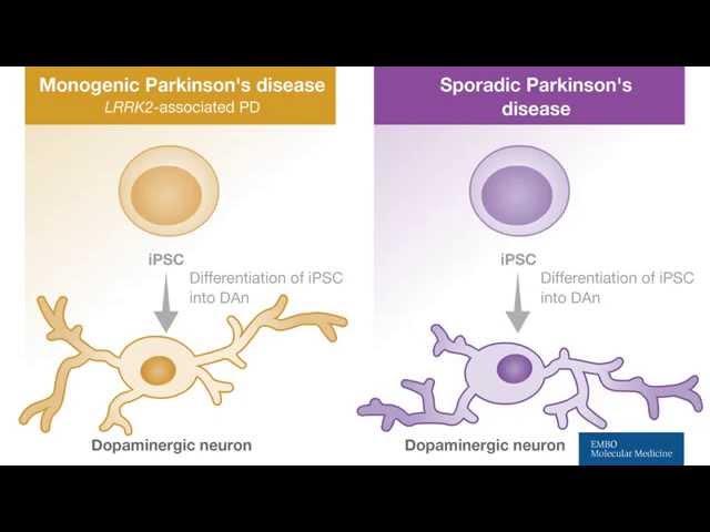 Animated Abstract: Eduardo Tolosa & colleagues (EMBO Mol. Med.)