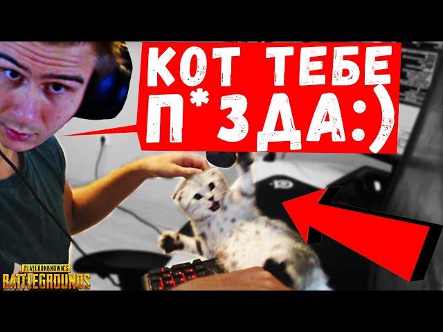 ДРЕЙНИС РОФЛИТ С КОТА! НЕУДАЧИ НА НОВОЙ КАРТЕ!