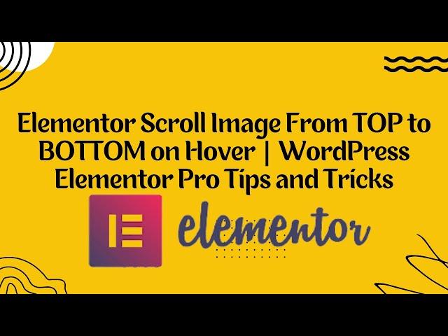 Elementor Scroll Image From TOP to BOTTOM on Hover | WordPress Elementor Pro Tips and Tricks 2023