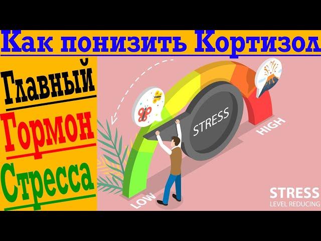 Как понизить Кортизол! Главный стрессовый гормон!