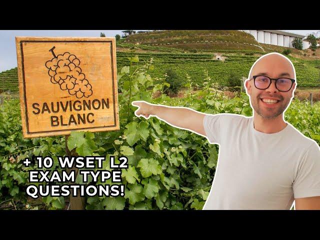 Sauvignon Blanc: Everything You Need to Know—WSET Level 2 in Wines (+10 WSET exam-type questions)