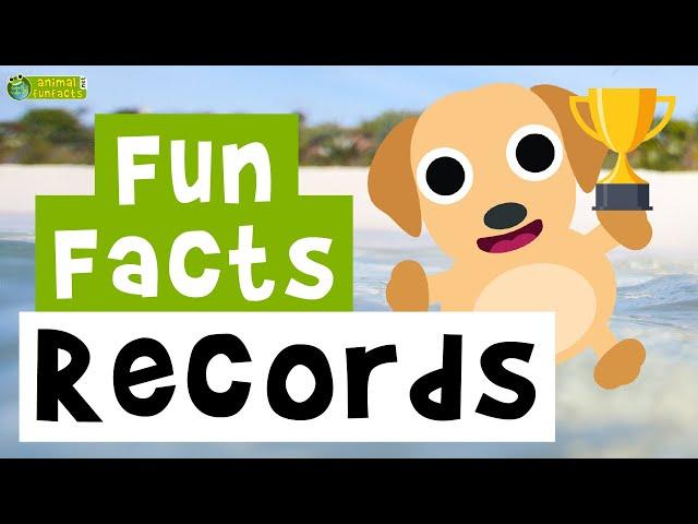 Animal Records  - Cartoon Fun Facts - Animals for Kids - Educational Video