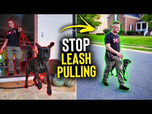 Stop Leash Pulling in Under 10 Minutes!