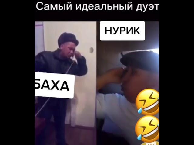 Баха. Нурик