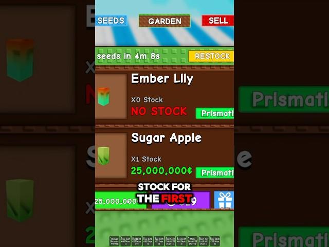 I Got a RARE Sugar Apple IN STOCK in Grow a Garden #roblox #dispecs #growagarden