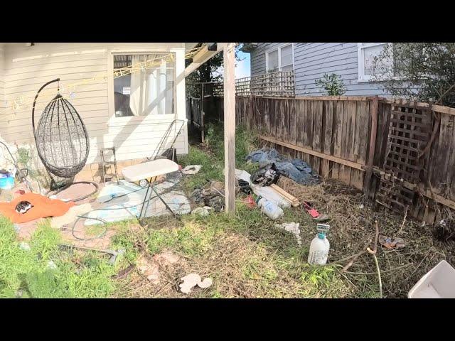 REVIVING an OVERGROWN YARD THAT LOOKED LIKE A DISASTER