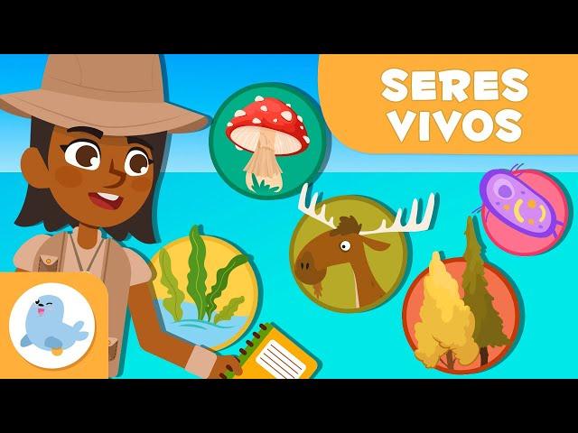 Clasificación de los SERES VIVOS   5 REINOS  Ciencias para niños