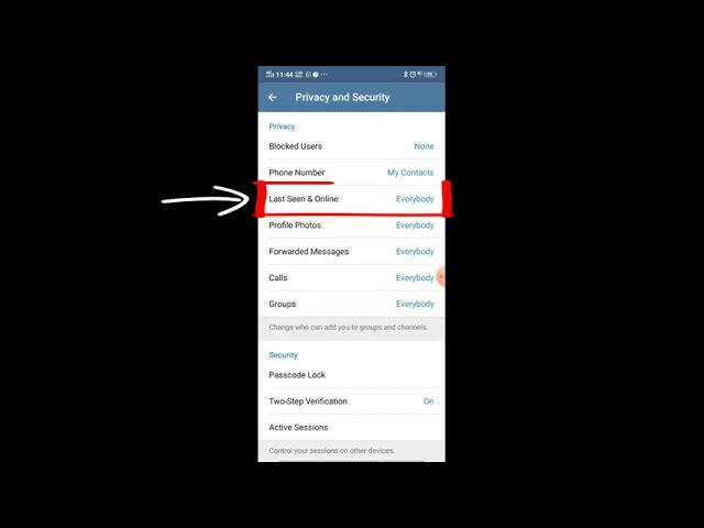 Cara Sembunyi Online dan Last Seen Telegram {} Hide Online and Last Seen In Telegram