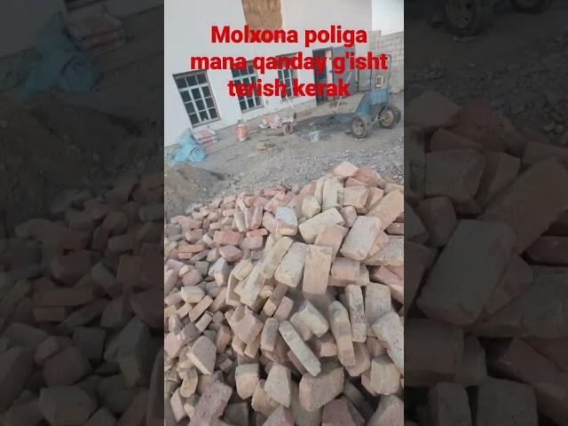 molxona poliga mana shunday g'isht terish kerak