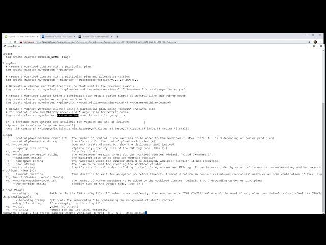 Using the TKG command line to deploy a TKG workload Kubernetes cluster on VMware vSphere
