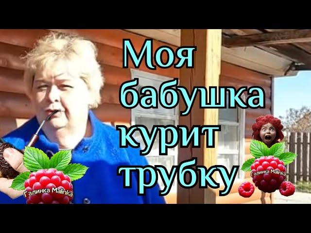 Ольга Уралочка live /Моя бабушка курит трубку /Обзор /Уралочка и Сафар