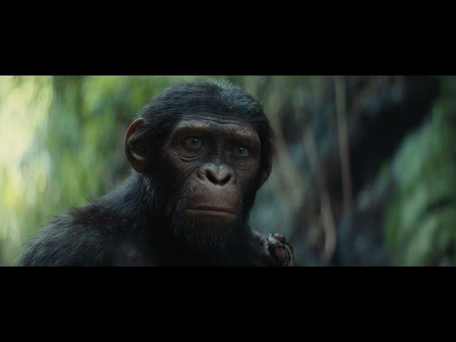 Kingdom of the Planet of the Apes (2024) | Hollywood.com Movie Trailers