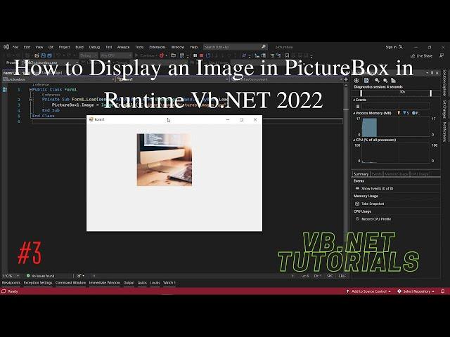 How to Display an Image in PictureBox in Runtime VB NET 2022