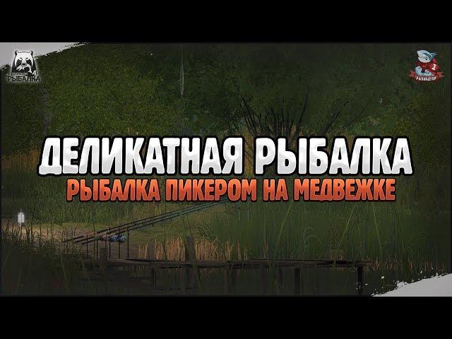 Фарм серебра в РР4