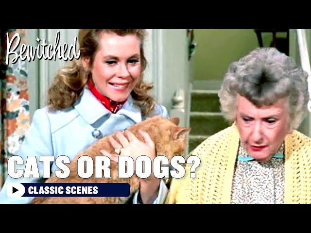 Samantha's Magical Trick To Find Mrs. Stephens | Bewitched