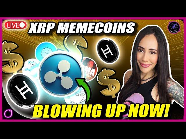 XRP Memecoins BLOWING UP NOW! (Insane move coming for HBAR)