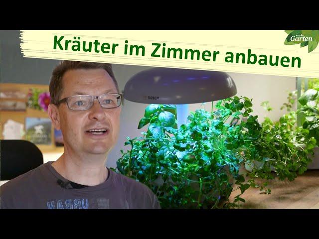 Indoor-Grow-Systeme: Kräuter in der Wohnung anbauen | MDR Garten | MDR