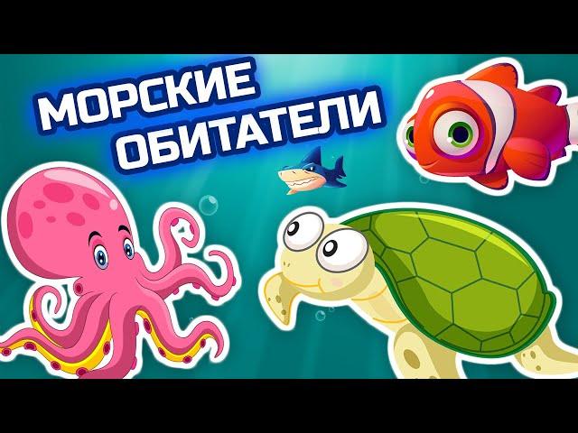 Удивительные обитатели морей и океанов - Развивающие мультики про животных для детей